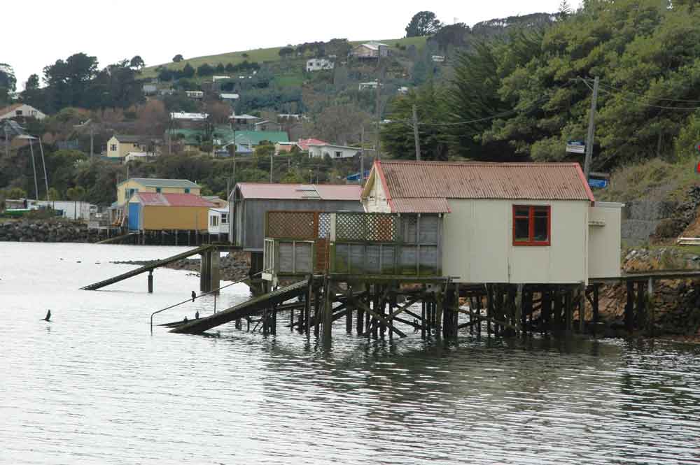 197 - Nueva Zelanda - Dunedin, peninsula de Otago, embarcadero